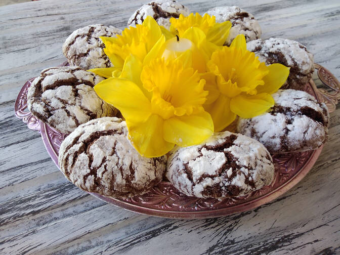 Nationale Biscuitdag