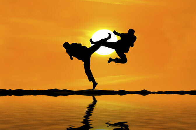 Capoeira-Tag