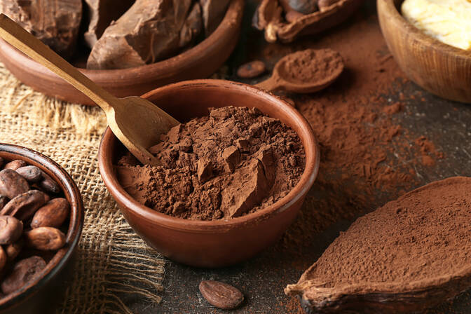 Dia nacional del cacao