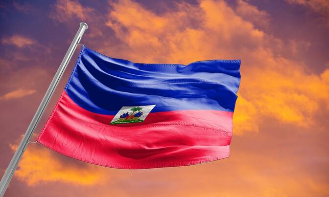 Haitian Flag Day