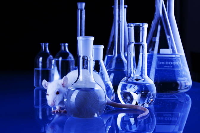 Journée mondiale des animaux de laboratoire