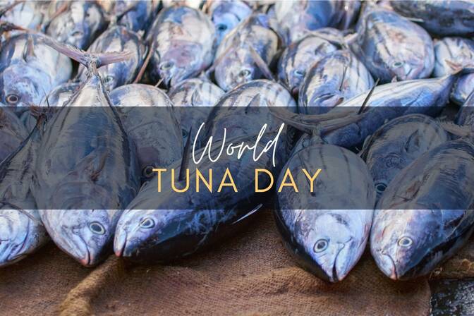 Всемирный день тунца