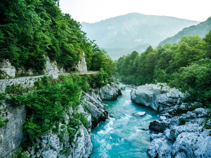 Dünya Doğayı Koruma Günü
