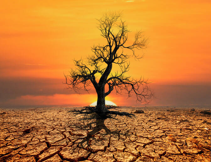Werelddag ter bestrijding van woestijnvorming en droogte
