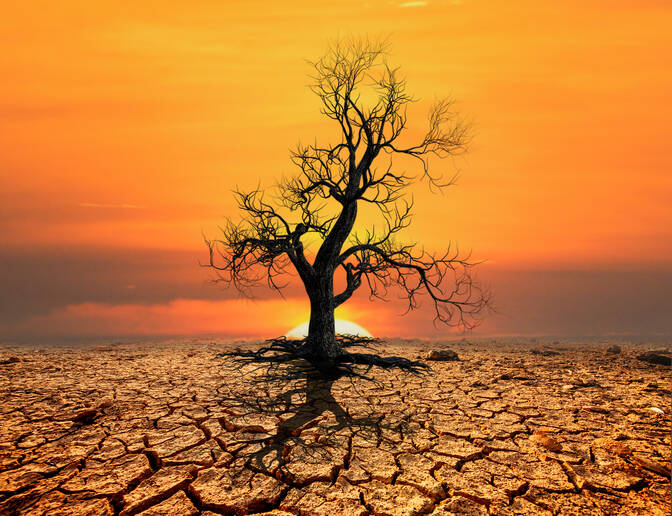 World Day to Combat Desertification and Drought