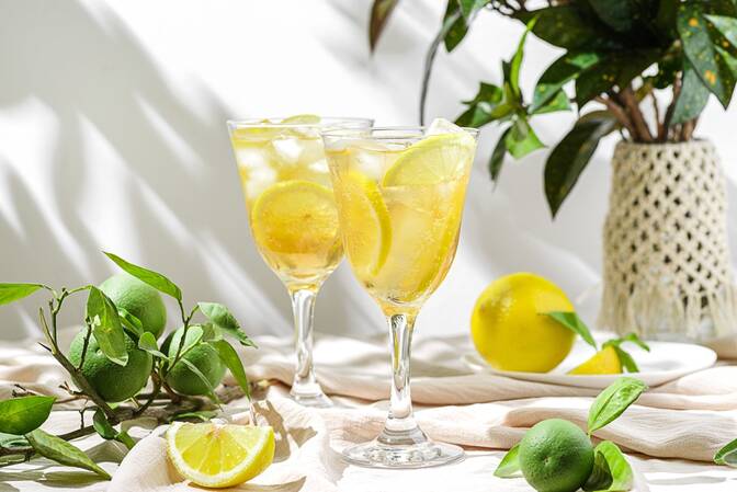 Nationale Limoncello-dag