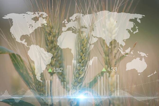 Giornata mondiale della sicurezza alimentare