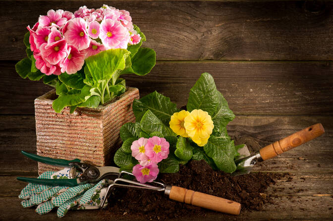 Internationale dag van het naakt tuinieren
