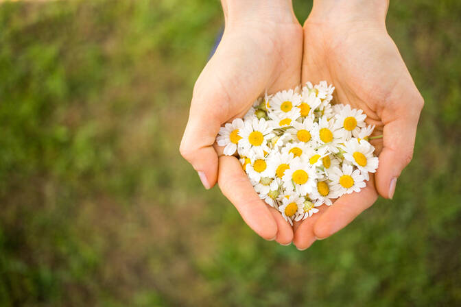 International Rural Women's Day