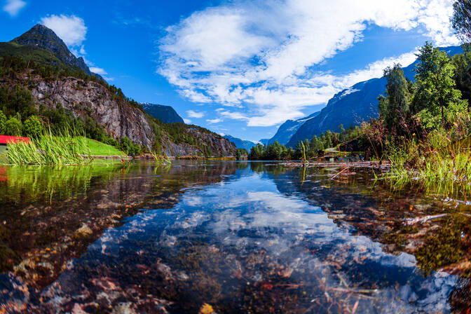 World Lake Day