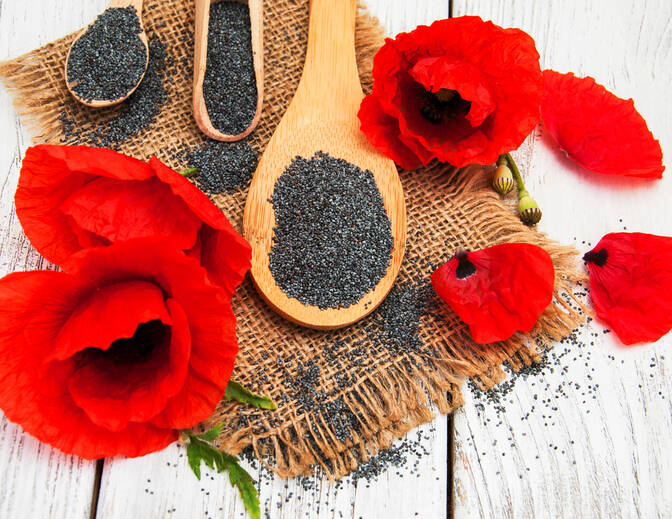 Opium Suppression Movement Day