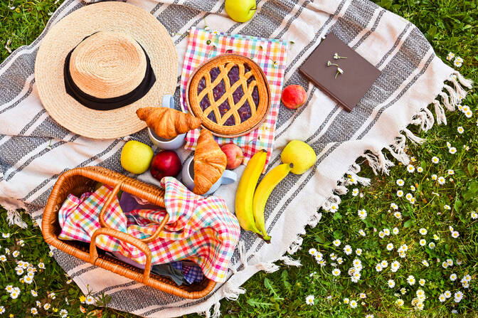 International Picnic Day