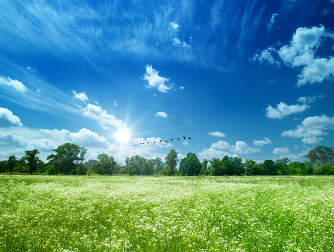 Journée internationale de l'air pur pour un ciel bleu