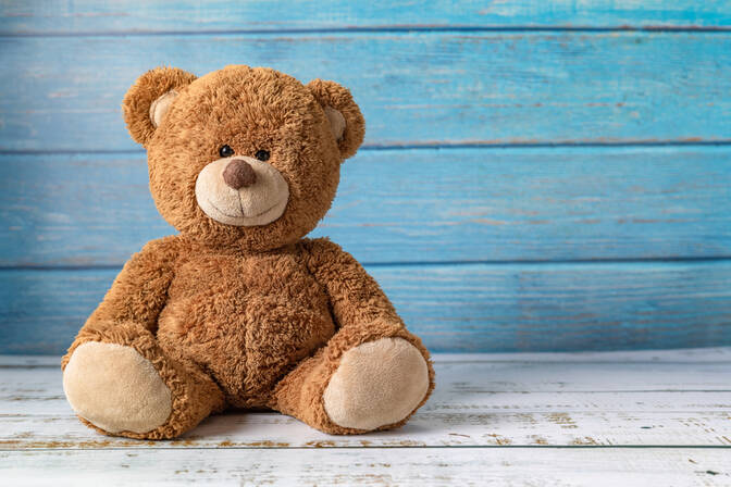 Journée nationale de l’ours en peluche