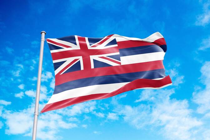 Nationale Hawaii-dag