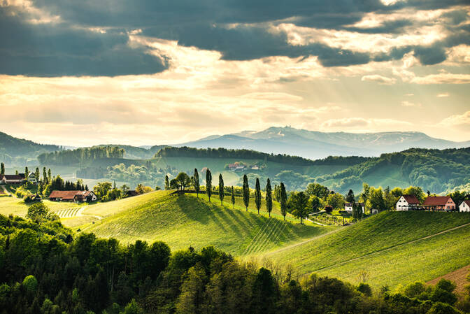 Festa di San Leopoldo