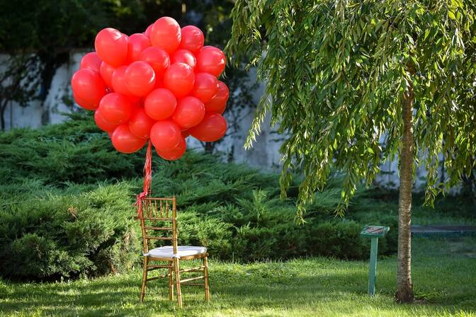 World Duchenne Day