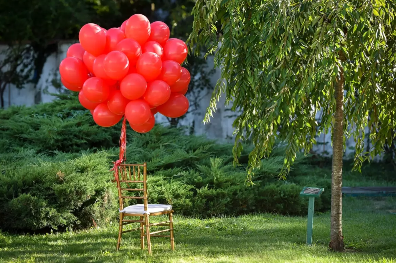 World Duchenne Day