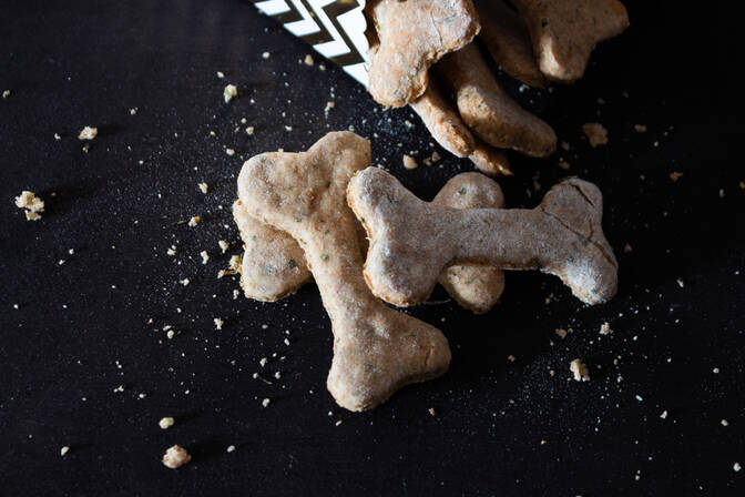 Dia Internacional do Biscoito para Cães