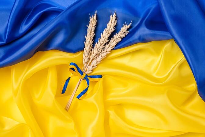 Giornata delle forze di pace ucraine