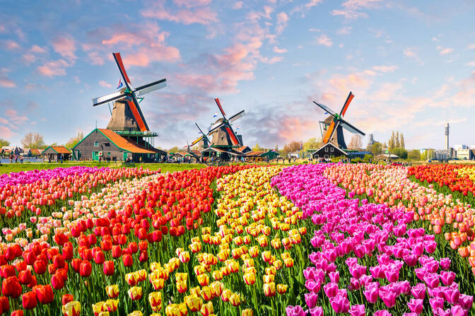 Dia do Reino na Holanda