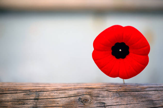 Tag des Gedenkens an die Opfer des Ersten Weltkriegs