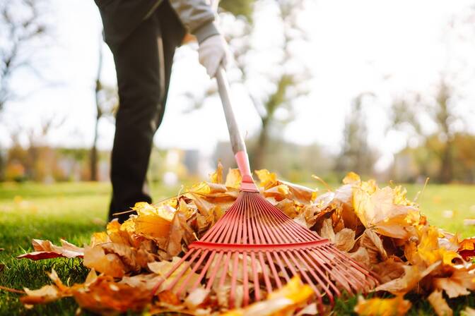 World Cleanup Day