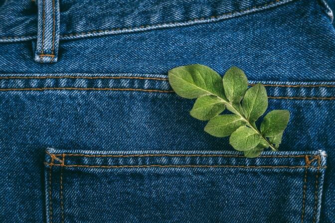 Denim Day