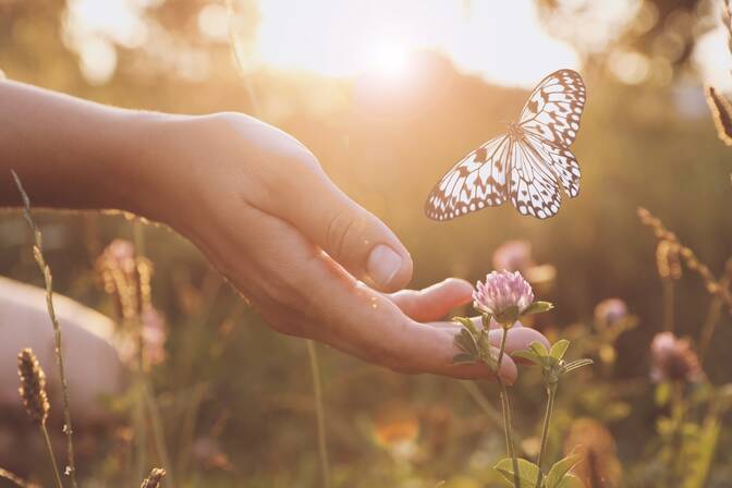 Journée Amusante des Fées du Printemps