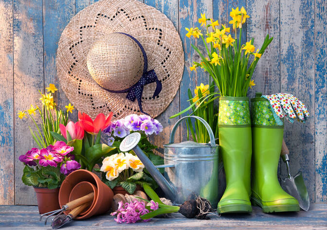 National Weed Your Garden Day