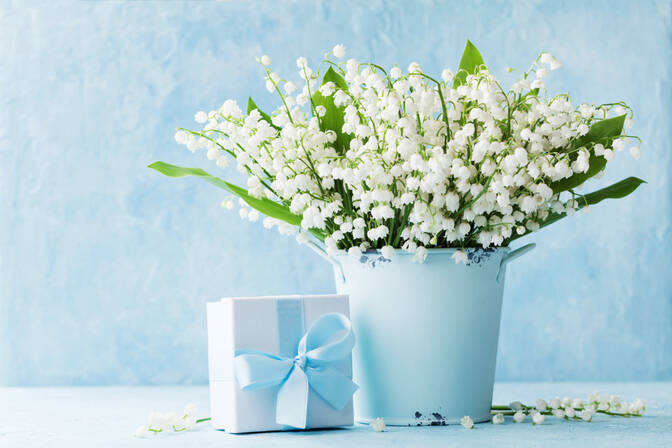 Lily of the Valley Day