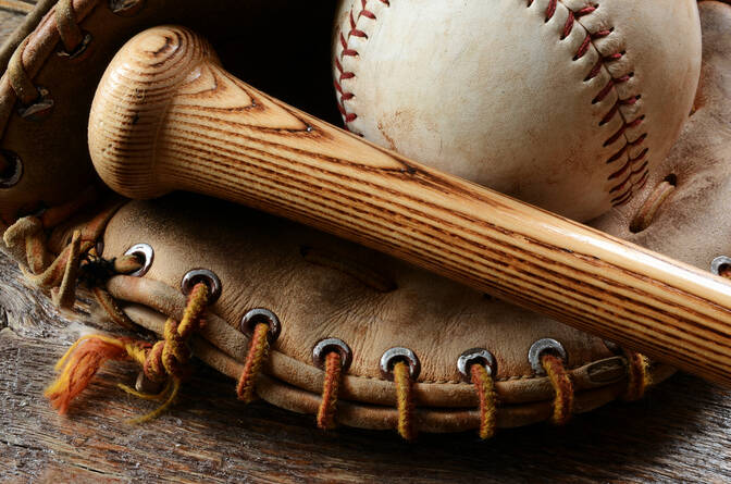 Wereld Softbal Dag