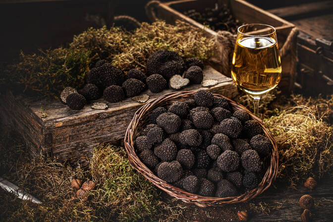 National truffle day