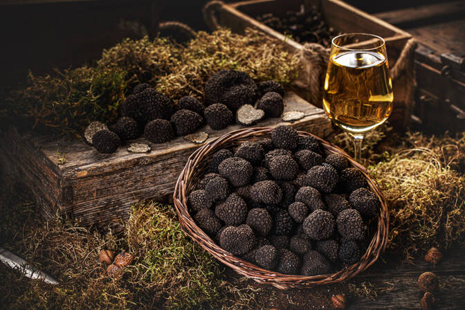 Hari truffle nasional