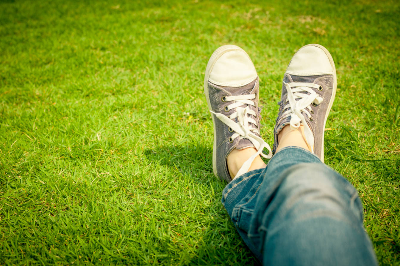 August 12, 2025: The Best Day Ever? (Middle Child, Vinyl, Julienne Fries Day!) - q0q49jt