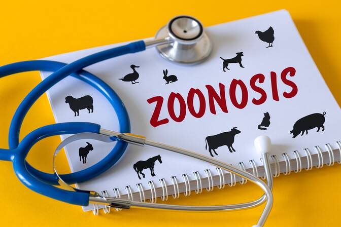 Wereld Zoonosedag
