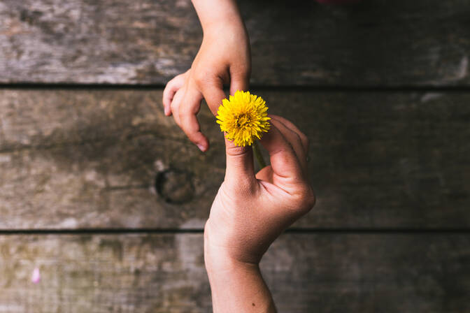 Do Something Nice Day