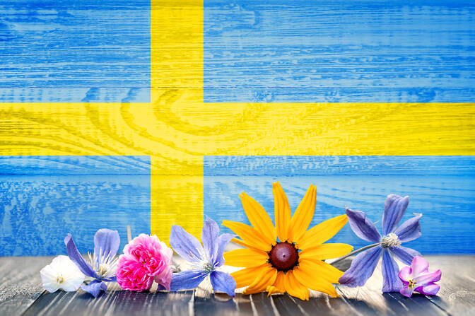 Fête nationale suédoise