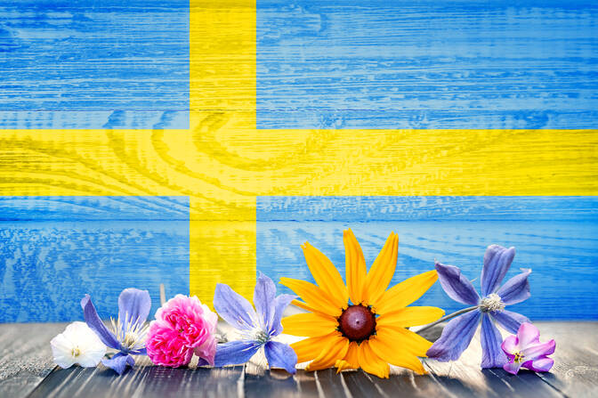 National Day of Sweden