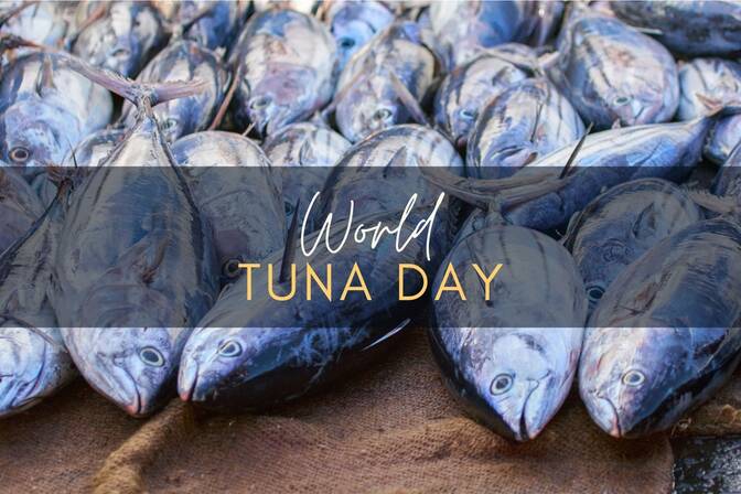 World Tuna Day