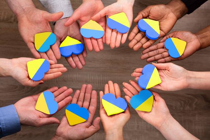 Dag van de Oekraïense vrijwilliger
