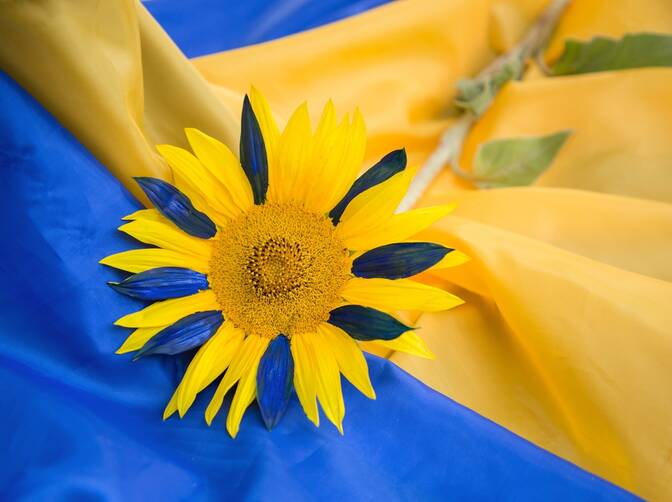 День освобождения Украины от фашистских захватчиков