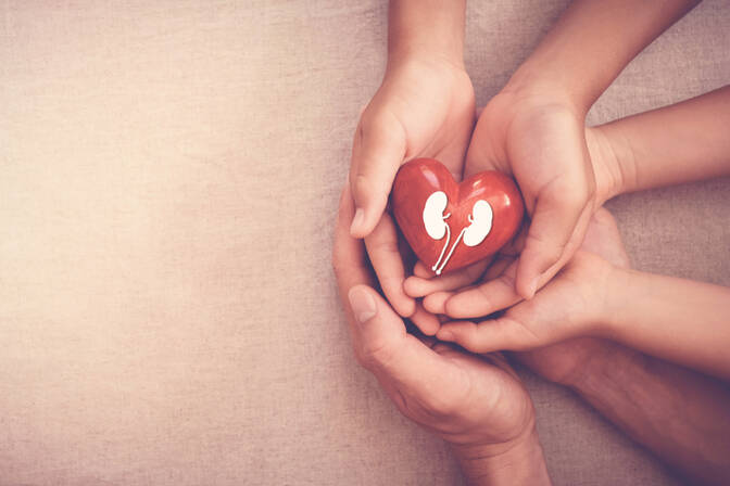 Nationale dag om stil te staan ​​bij orgaandonatie en -transplantatie