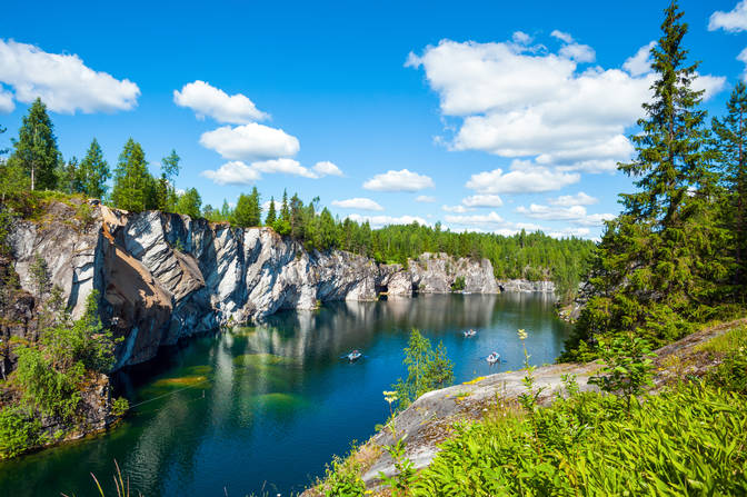 Міжнародний день лісів