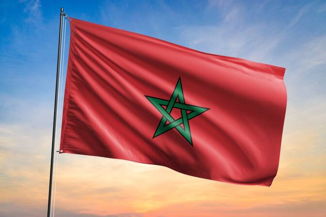 미국 독립기념일