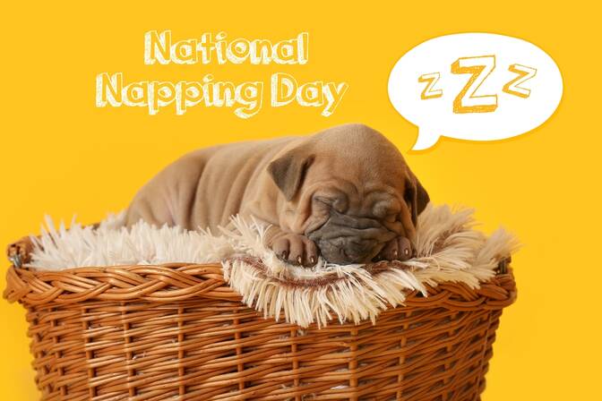 National Napping Day