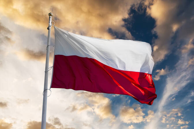 Polish Diaspora Day