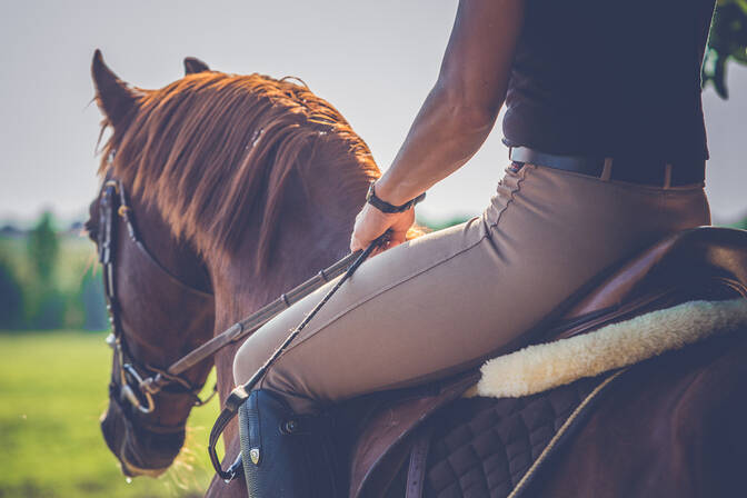 National Ride Your Horse to a Bar Day