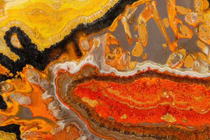 Tag der Geologen