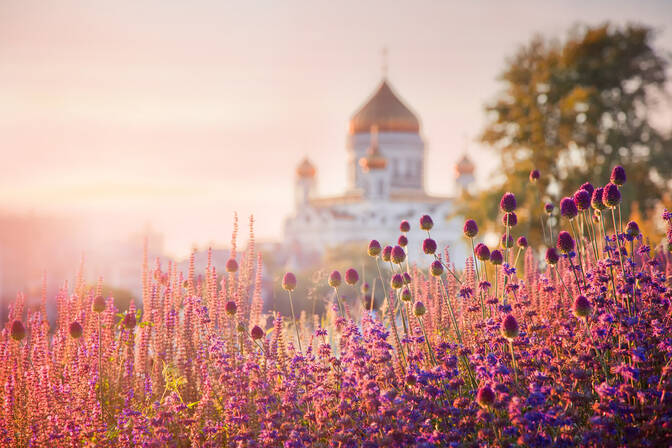 Прокоп Перезимний, Дорогорушитель